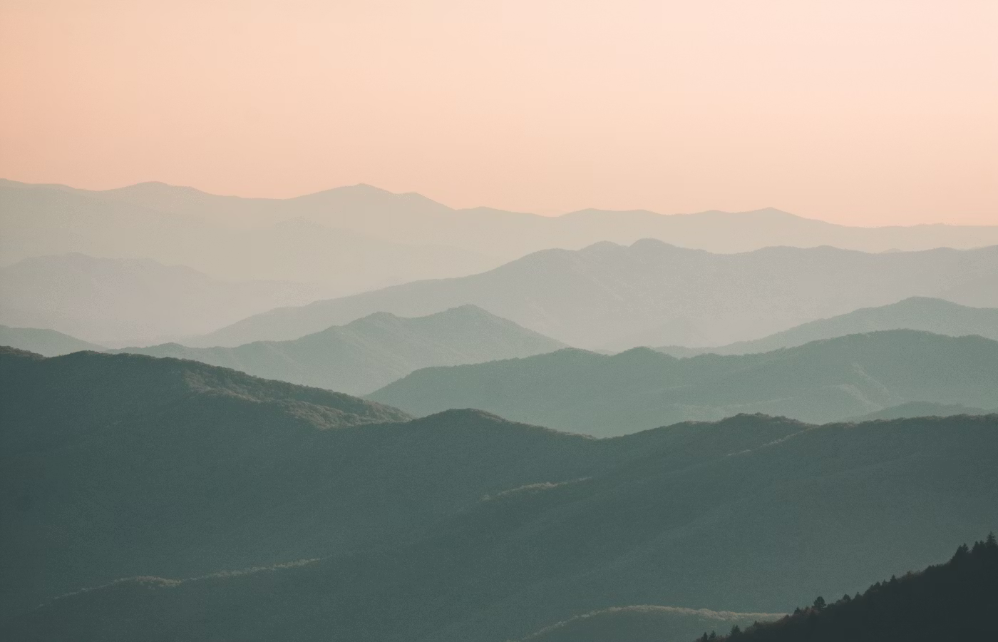 Утечки энергии для предпринимателя